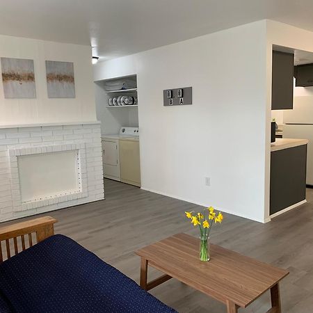 Central Bellevue Guesthouse 外观 照片